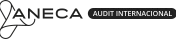 aneca-audit-internacional